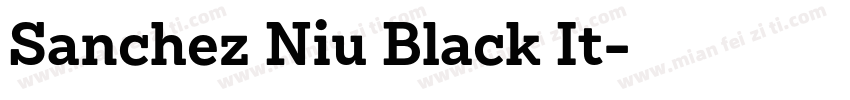 Sanchez Niu Black It字体转换